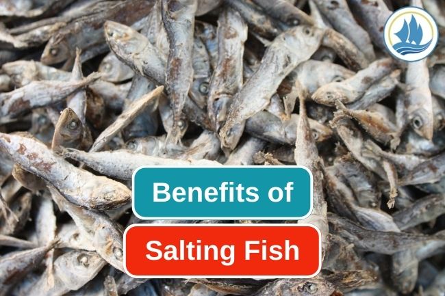 5 Advantages Of Salting Fish Method